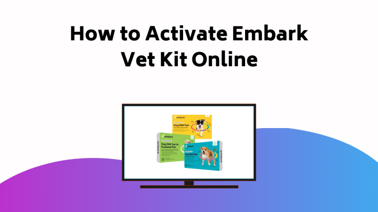 How To Activate Embark Vet Kit Online