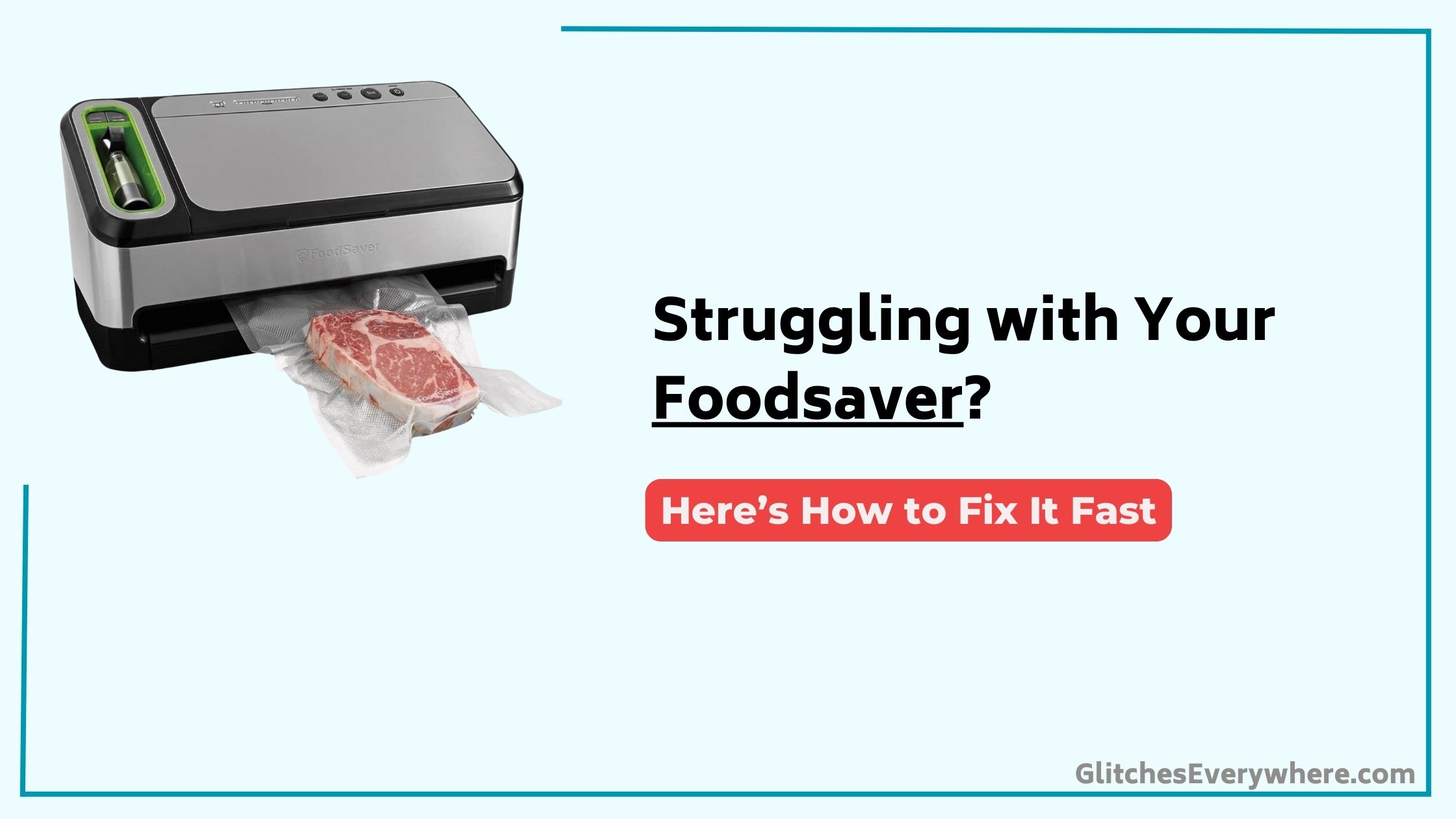 Foodsaver Troubleshooting